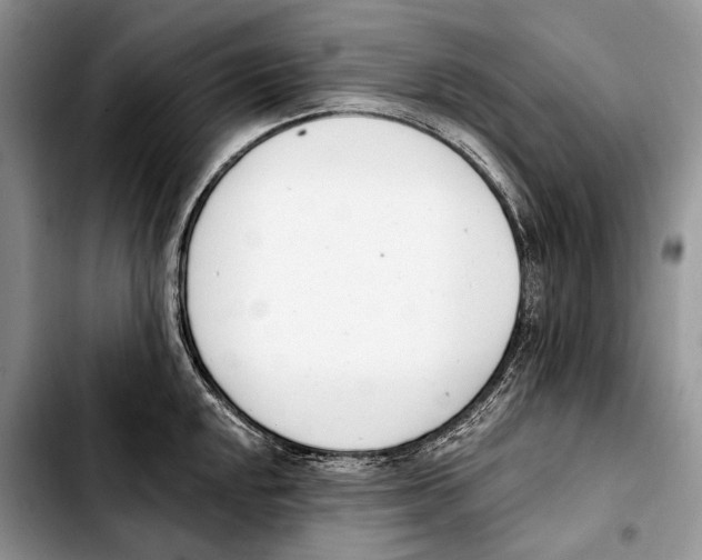 X0000103421048200810101014