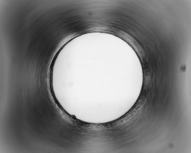 X0000103421050200810101014