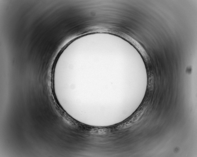 X0000103421051200810101014