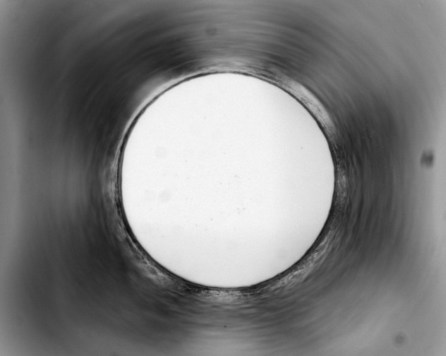 X0000103421052200810101014
