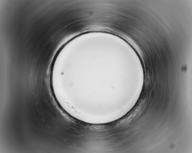 X0000103421053200810101014