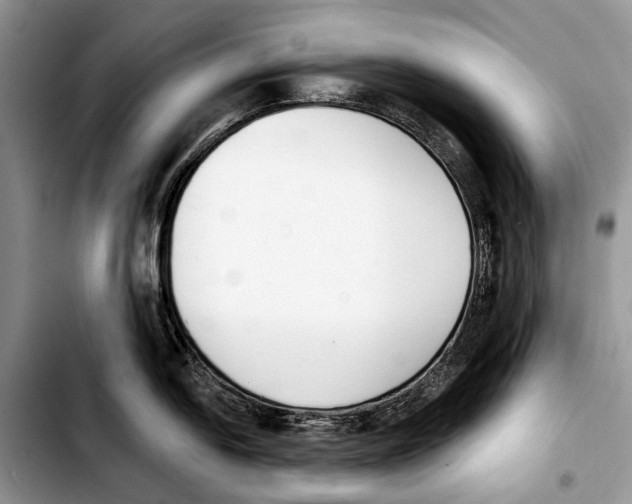 X0000103421054200810101014