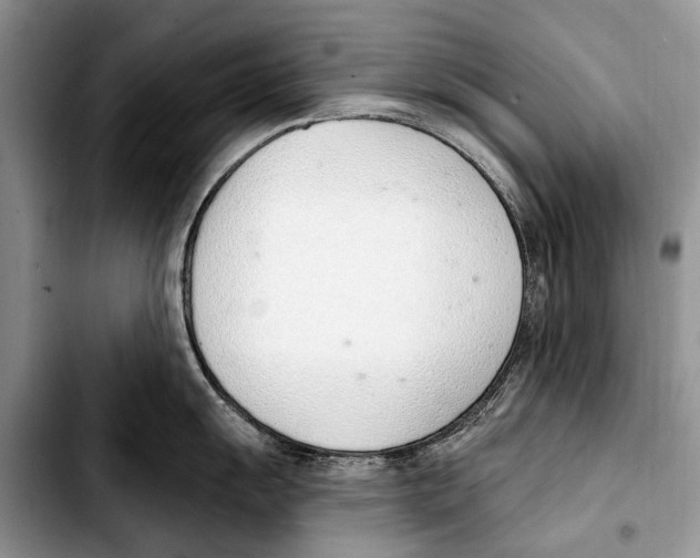 X0000103421055200810101014