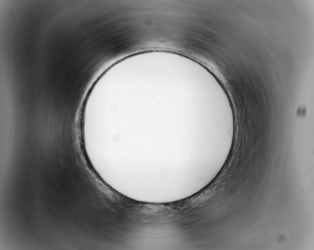 X0000103421056200810101014