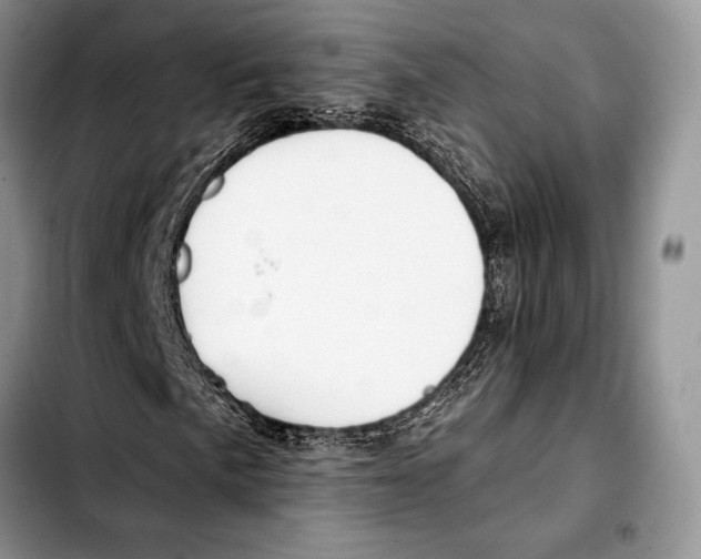 X0000103421057200810101014
