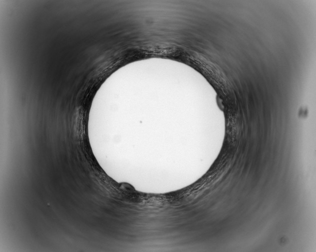 X0000103421058200810101014