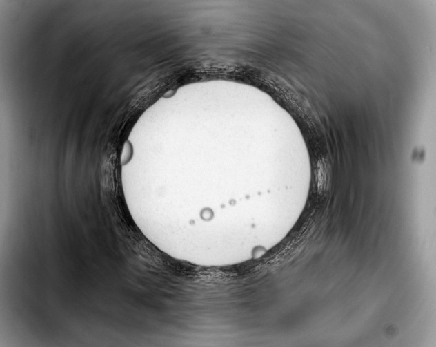 X0000103421059200810101014