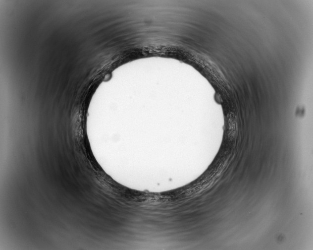 X0000103421060200810101014