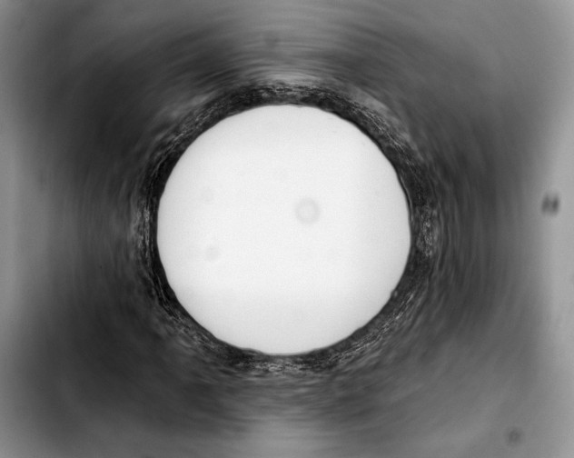 X0000103421061200810101014