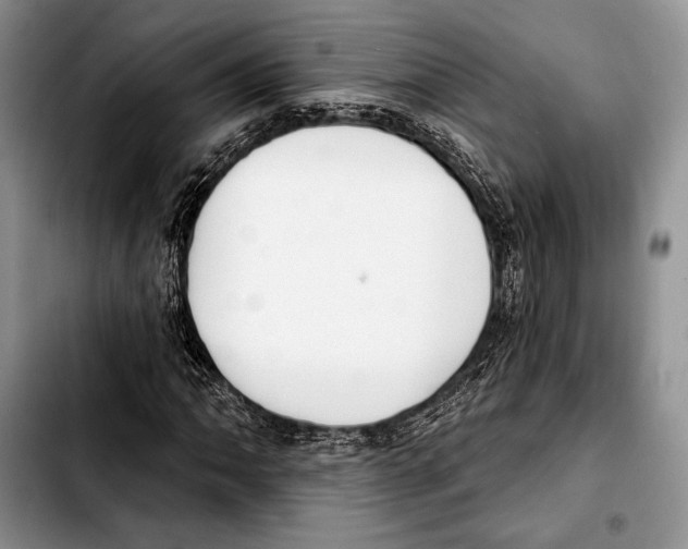 X0000103421062200810101014