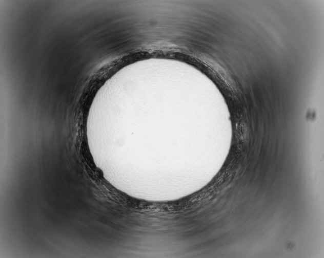 X0000103421063200810101014