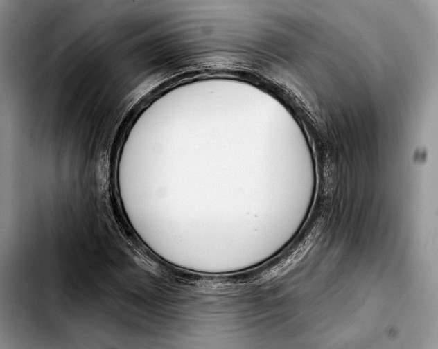 X0000103421065200810101014