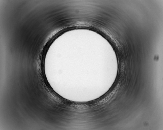 X0000103421066200810101014