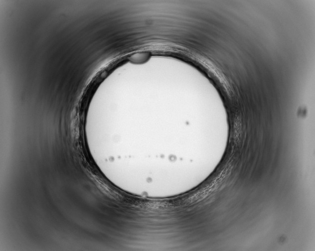 X0000103421067200810101014