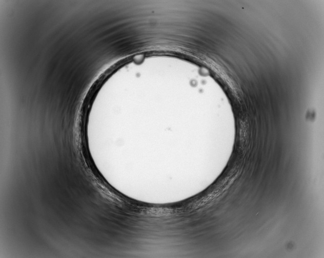 X0000103421068200810101013