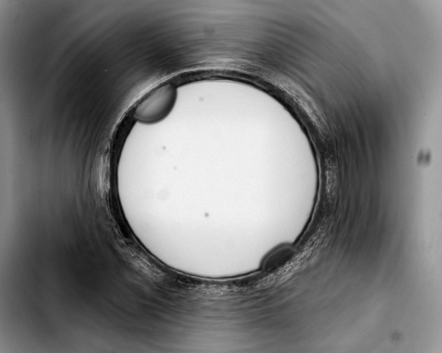 X0000103421069200810101013