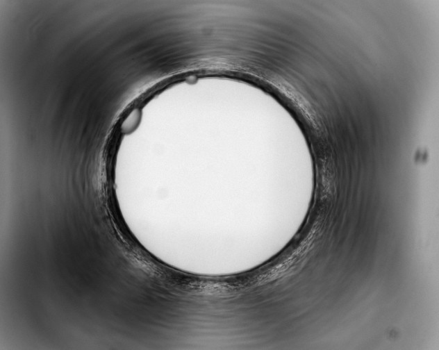 X0000103421070200810101013