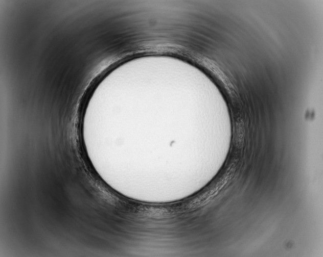 X0000103421071200810101013