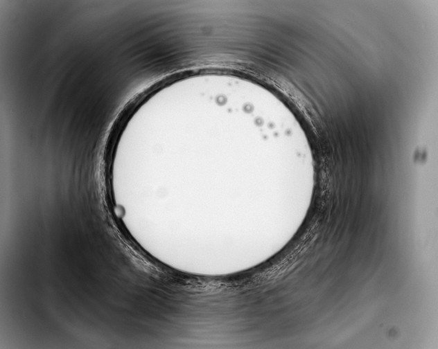X0000103421072200810101013