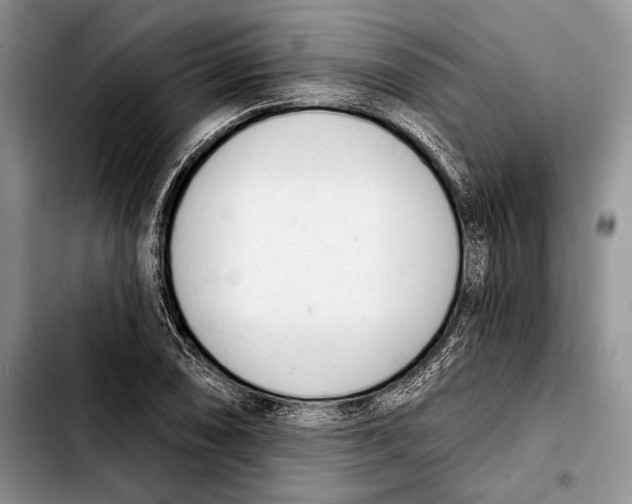 X0000103421074200810101013