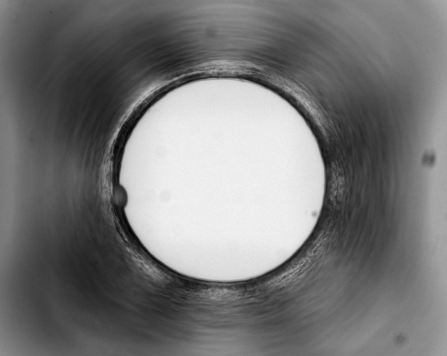 X0000103421075200810101013