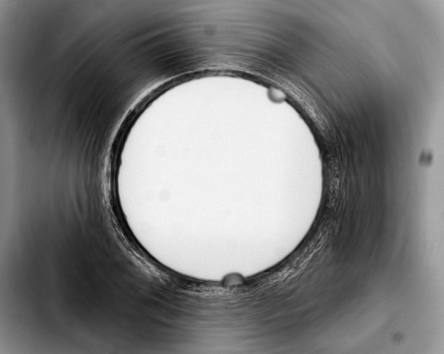 X0000103421076200810101013