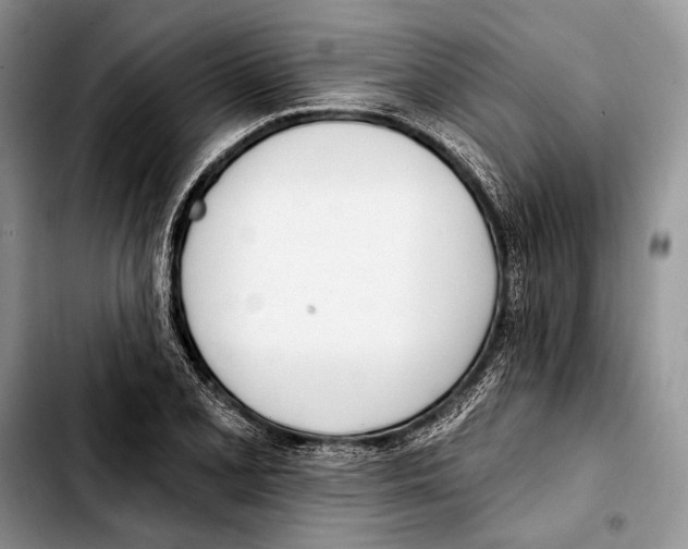 X0000103421077200810101013