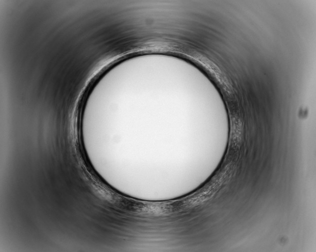 X0000103421078200810101013