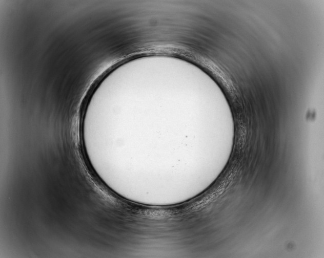 X0000103421079200810101013