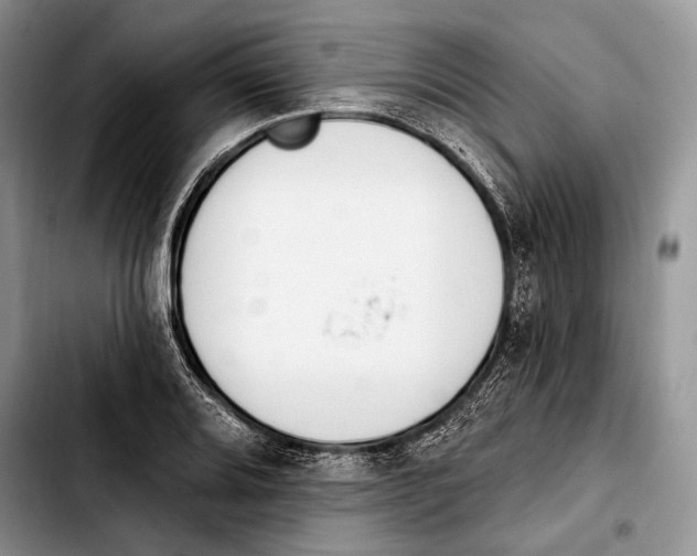 X0000103421080200810101013