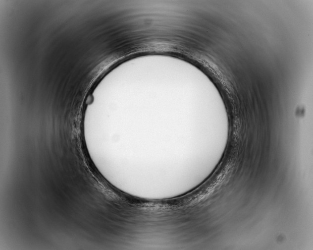 X0000103421081200810101013