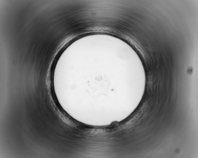 X0000103421082200810101013