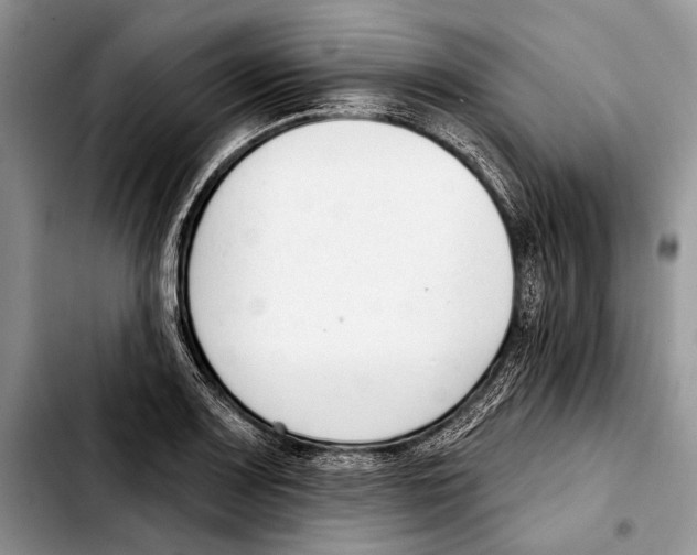 X0000103421083200810101013