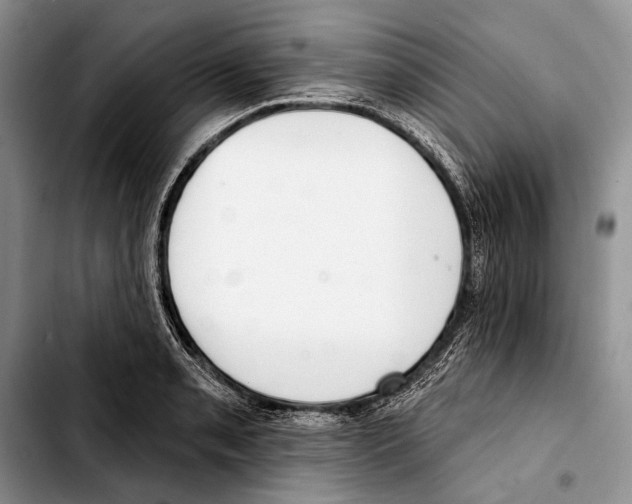 X0000103421085200810101013