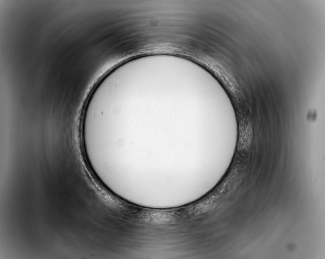X0000103421086200810101013