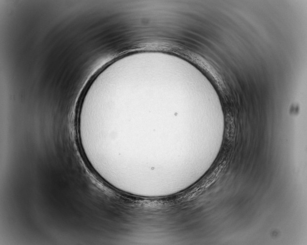 X0000103421087200810101013