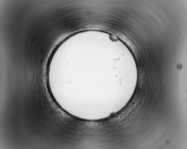 X0000103421088200810101013