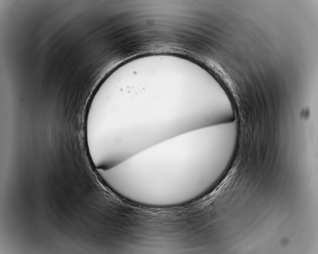 X0000103421089200810101013