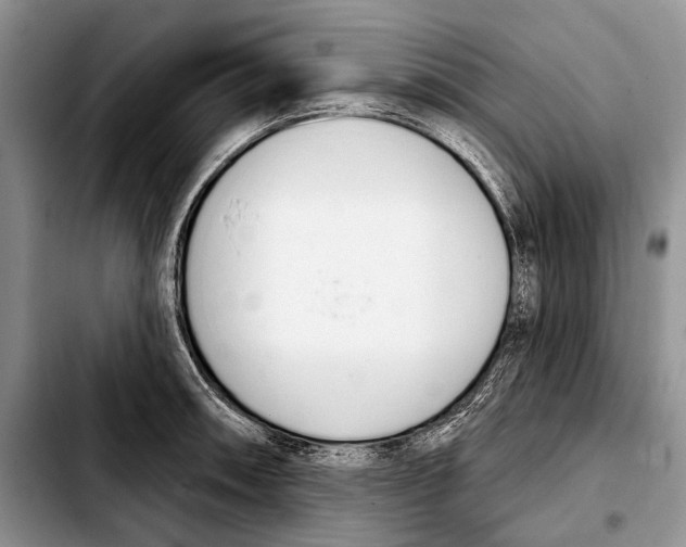 X0000103421090200810101013