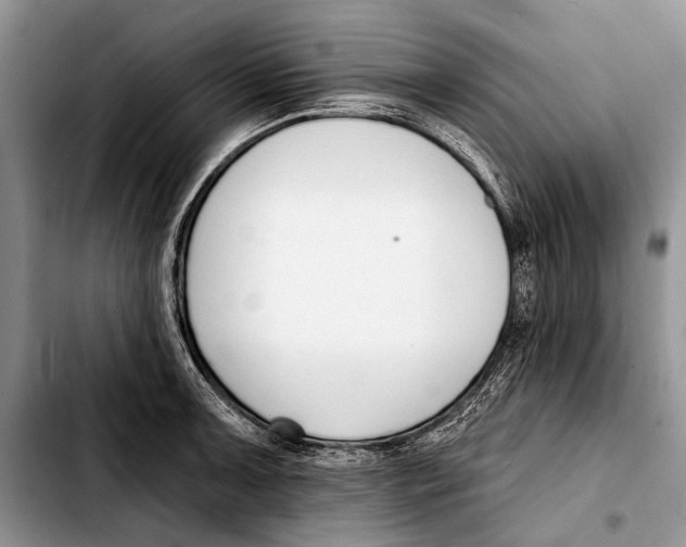 X0000103421091200810101013