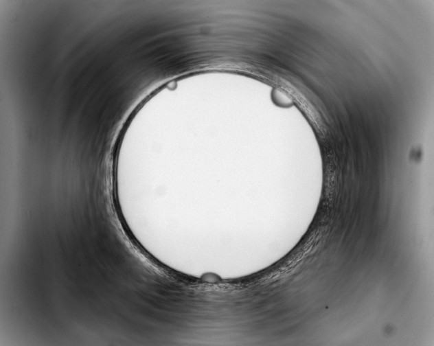X0000103421092200810101013