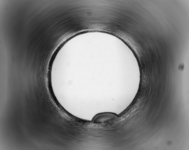 X0000103421093200810101013