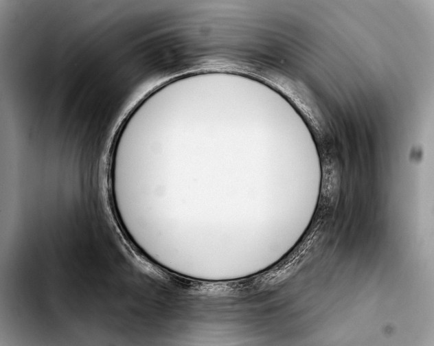 X0000103421094200810101013
