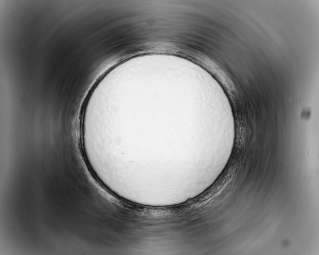 X0000103421095200810101013