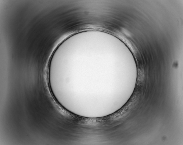 X0000103421098200810101013