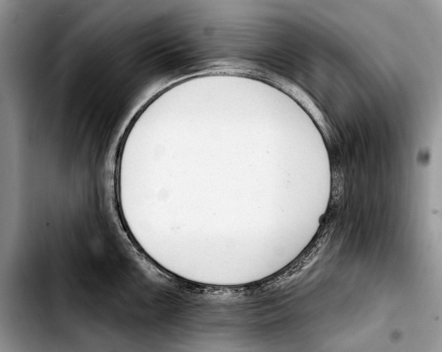 X0000103421099200810101013