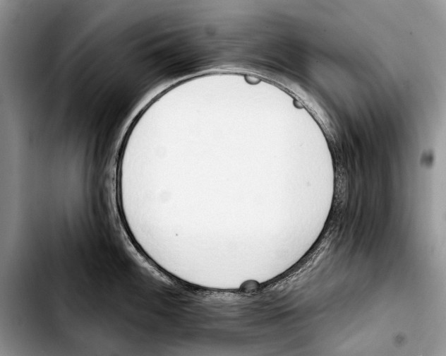 X0000103421100200810101013