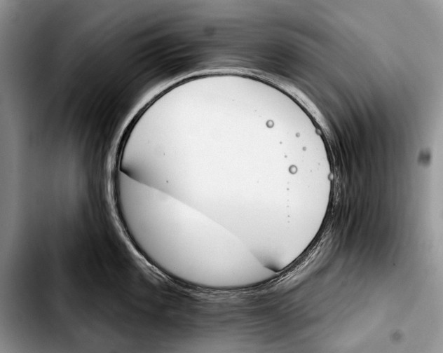 X0000103421101200810101013
