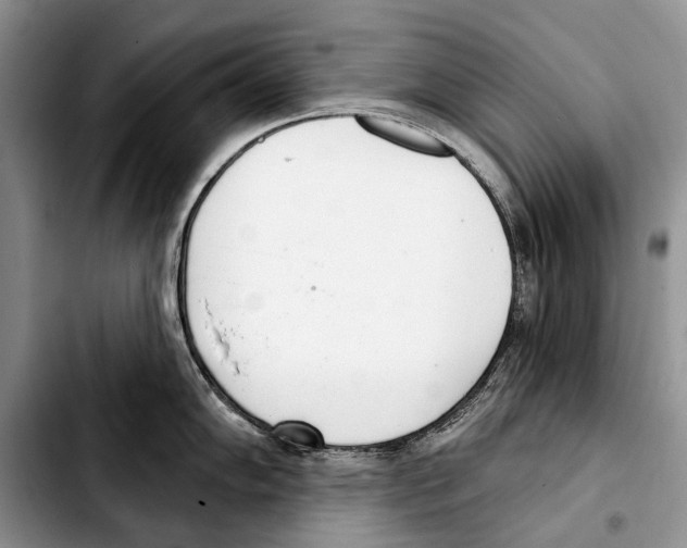 X0000103421102200810101013