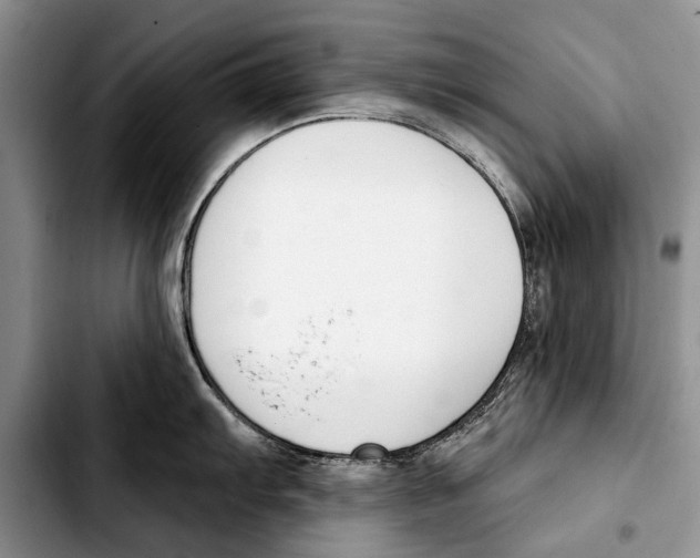 X0000103421103200810101013